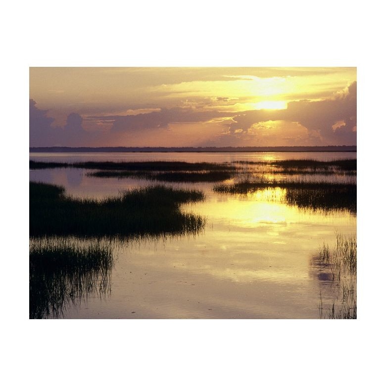 Tablou Canvas Natura, Dimensiunea 100x70 nat890