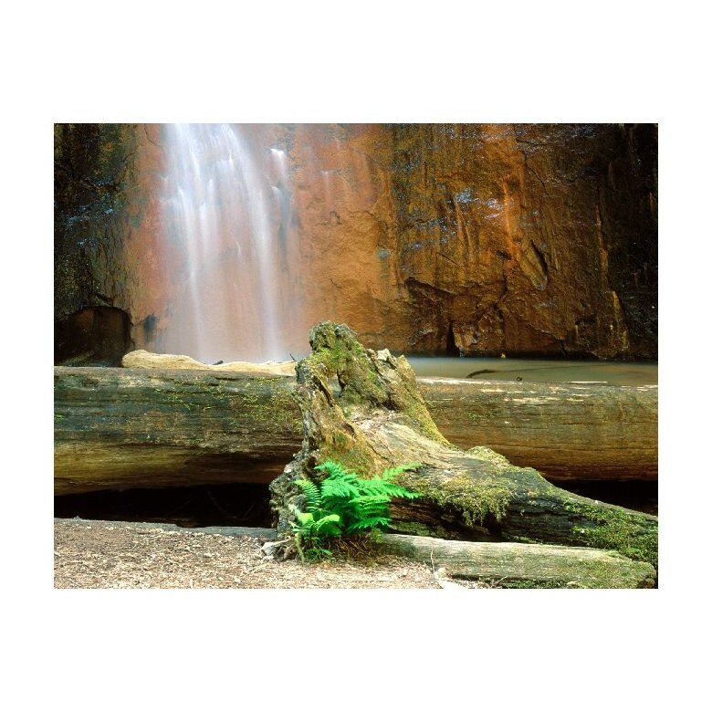 Tablou Canvas Natura, Dimensiunea 100x70 nat766