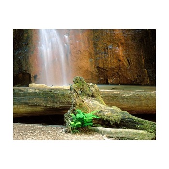 Tablou Canvas Natura, Dimensiunea 100x70 nat766 Tablou Canvas Natura, Dimensiunea 100x70 nat766