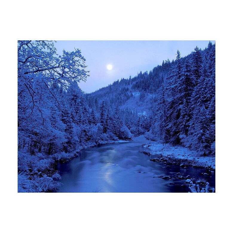 Tablou Canvas Natura, Dimensiunea 100x70 nat794