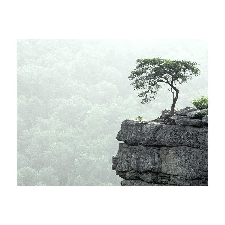 Tablou Canvas Natura, Dimensiunea 100x70 nat793