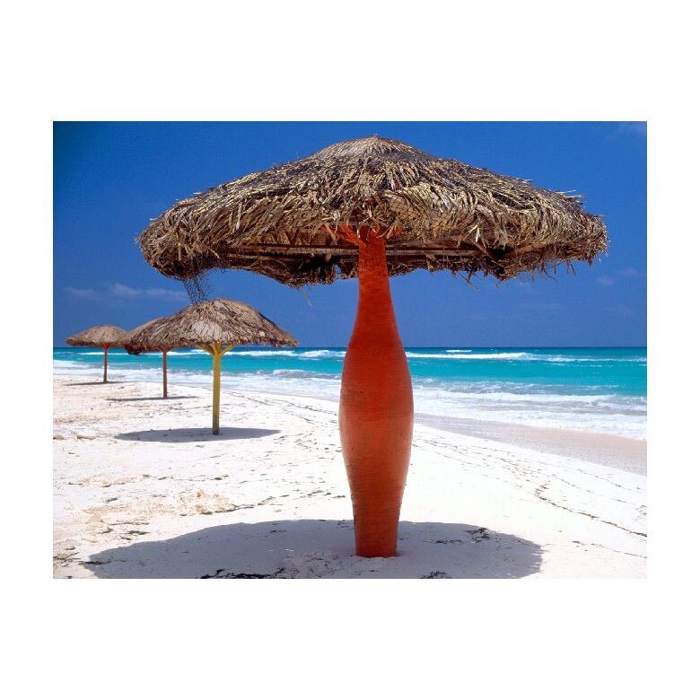 Tablou Canvas Natura, Dimensiunea 100x70 nat821