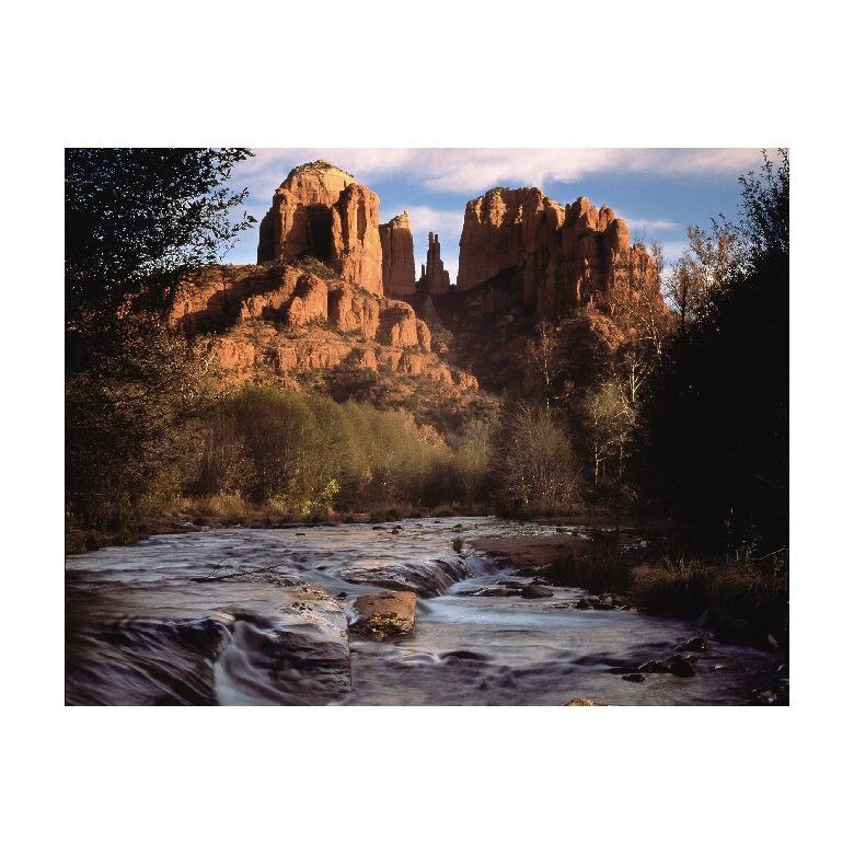 Tablou Canvas Natura, Dimensiunea 100x70 nat818