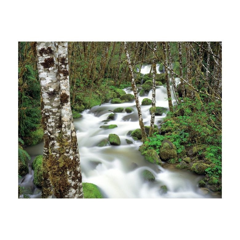 Tablou Canvas Natura, Dimensiunea 100x70 nat901