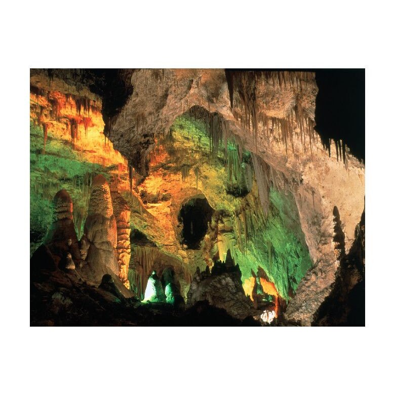 Tablou Canvas Natura, Dimensiunea 100x70 nat811