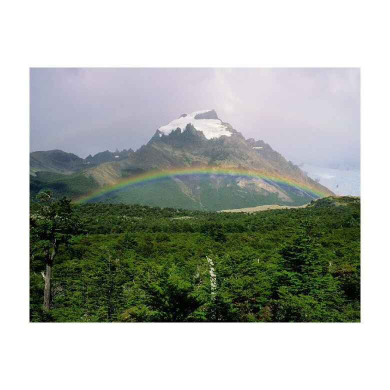 Tablou Canvas Natura, Dimensiunea 100x70 nat823