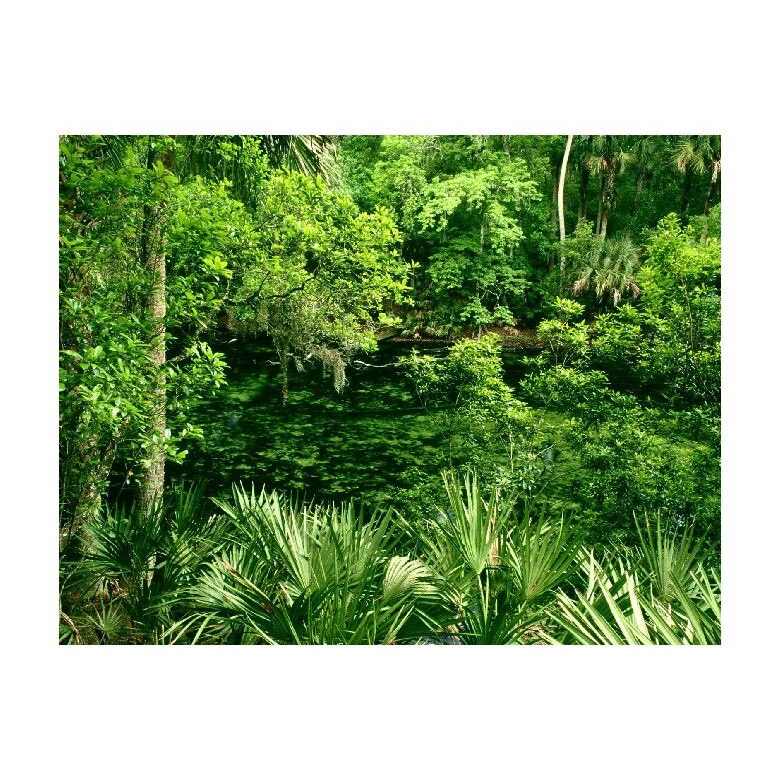 Tablou Canvas Natura, Dimensiunea 100x70 nat778
