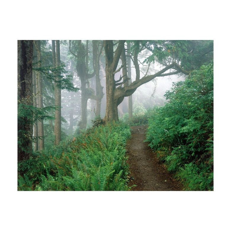 Tablou Canvas Natura, Dimensiunea 100x70 nat807