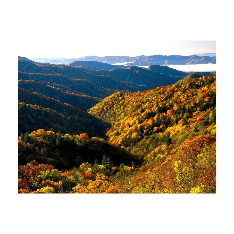 Tablou Canvas Natura, Dimensiunea 100x70 nat899