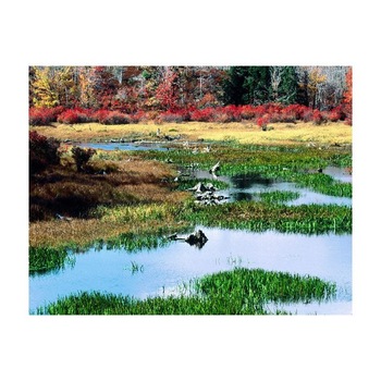 Tablou Canvas Natura, Dimensiunea 100x70 nat966 Tablou Canvas Natura, Dimensiunea 100x70 nat966