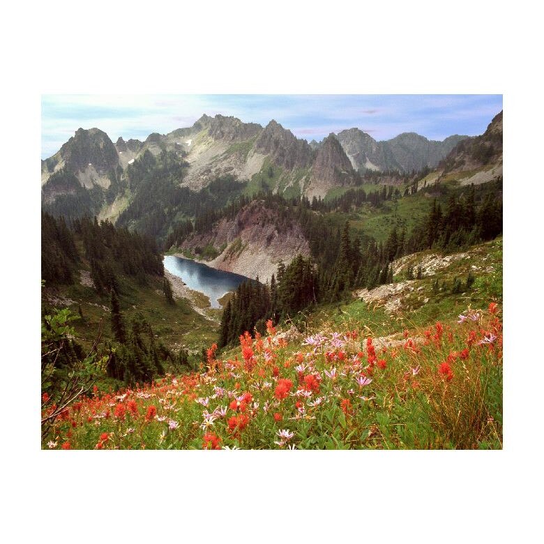 Tablou Canvas Natura, Dimensiunea 100x70 nat840