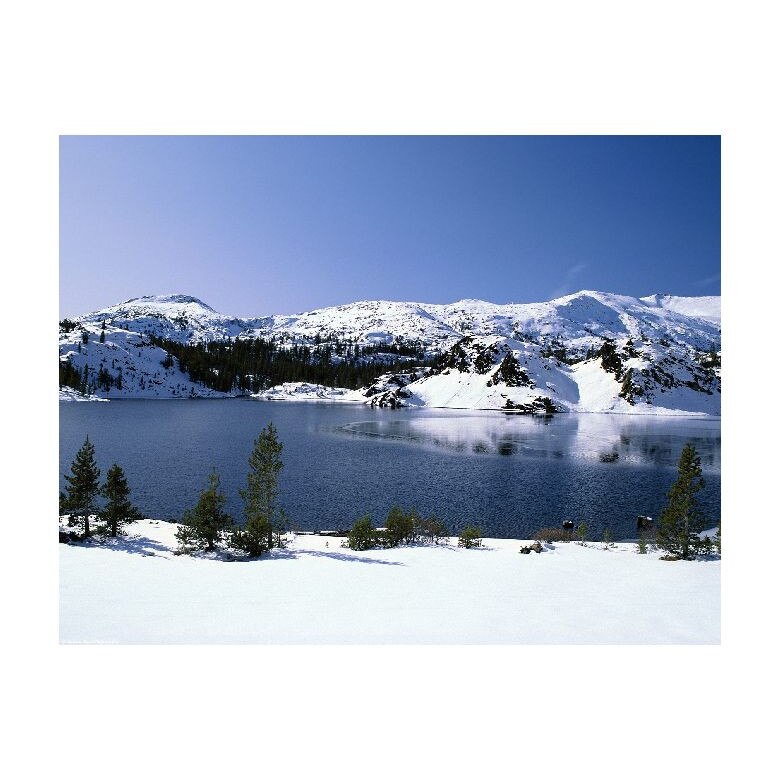 Tablou Canvas Natura, Dimensiunea 100x70 nat950