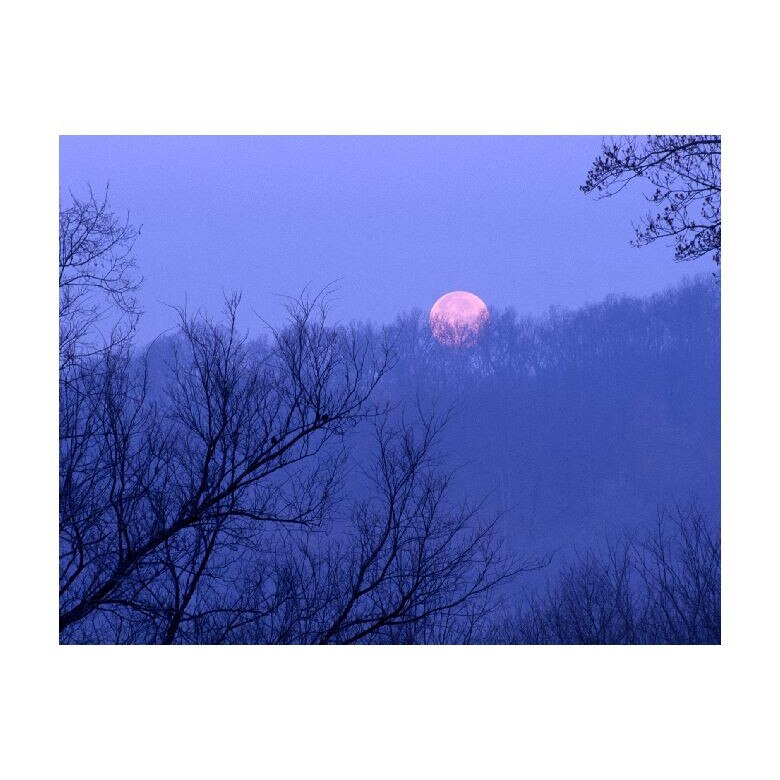 Tablou Canvas Natura, Dimensiunea 100x70 nat1006