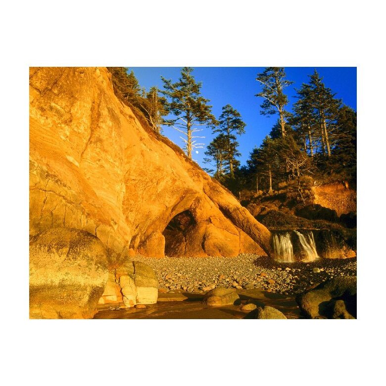 Tablou Canvas Natura, Dimensiunea 100x70 nat965