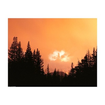 Tablou Canvas Natura, Dimensiunea 100x70 nat915 Tablou Canvas Natura, Dimensiunea 100x70 nat915