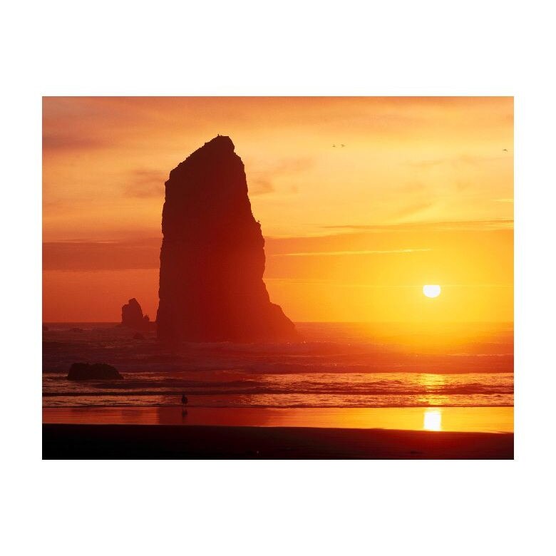 Tablou Canvas Natura, Dimensiunea 100x70 nat1011