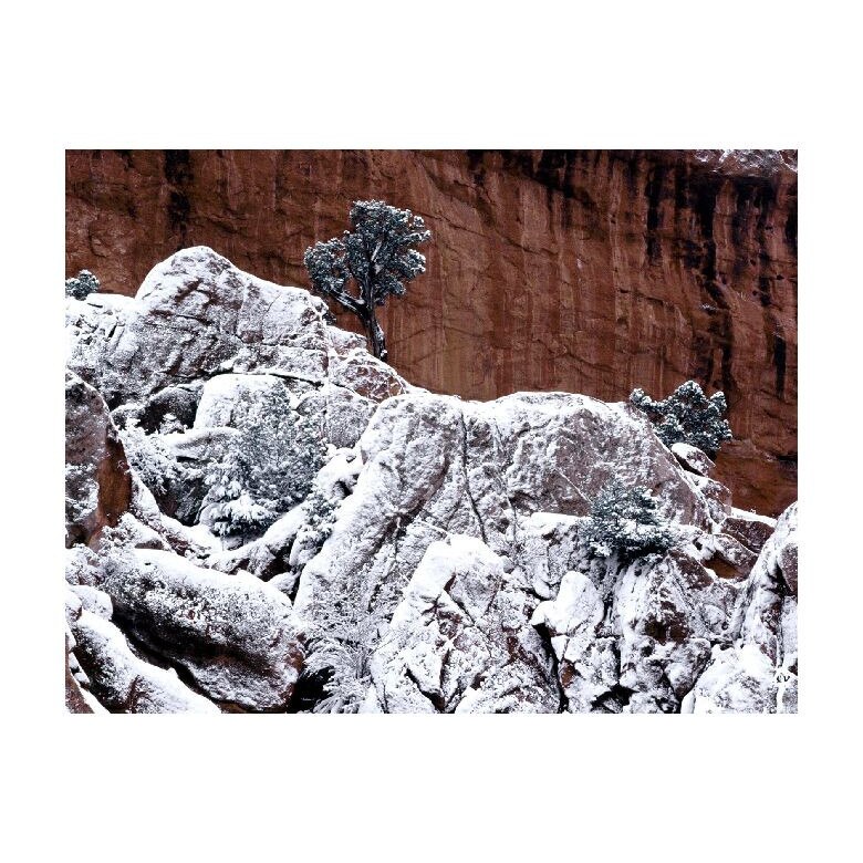 Tablou Canvas Natura, Dimensiunea 100x70 nat997