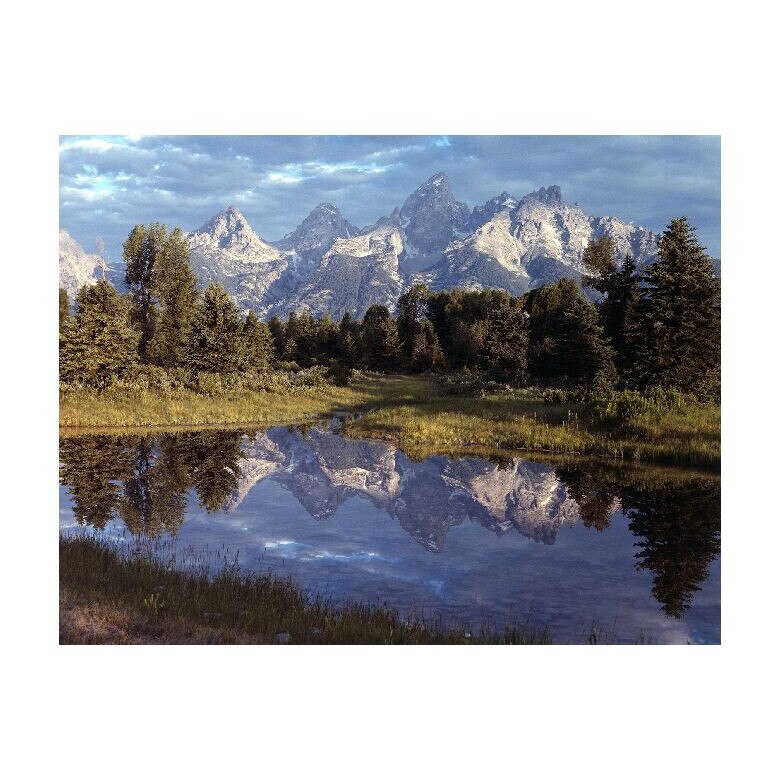 Tablou Canvas Natura, Dimensiunea 100x70 nat1037