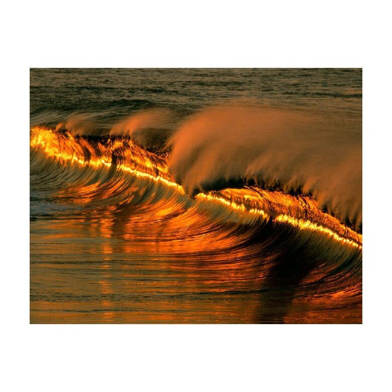 Tablou Canvas Natura, Dimensiunea 100x70 nat1030