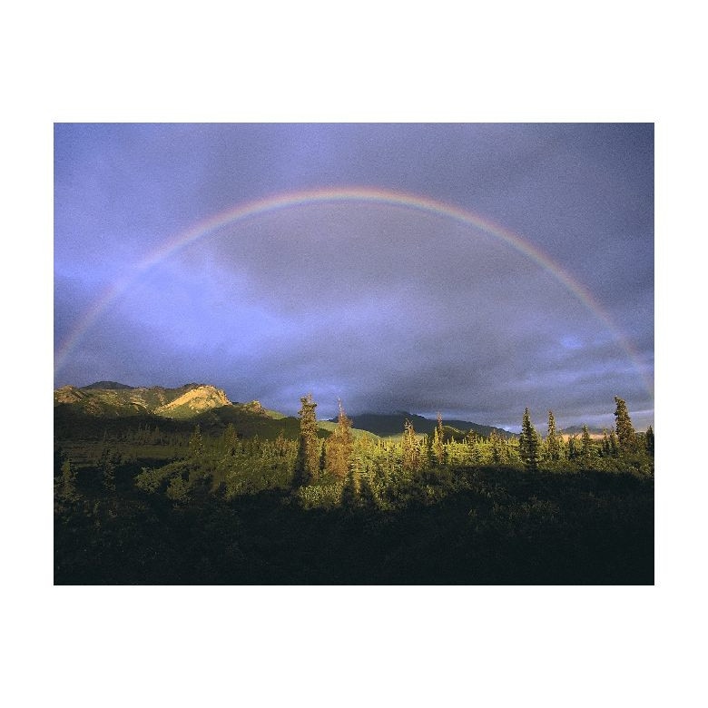 Tablou Canvas Natura, Dimensiunea 100x70 nat1007