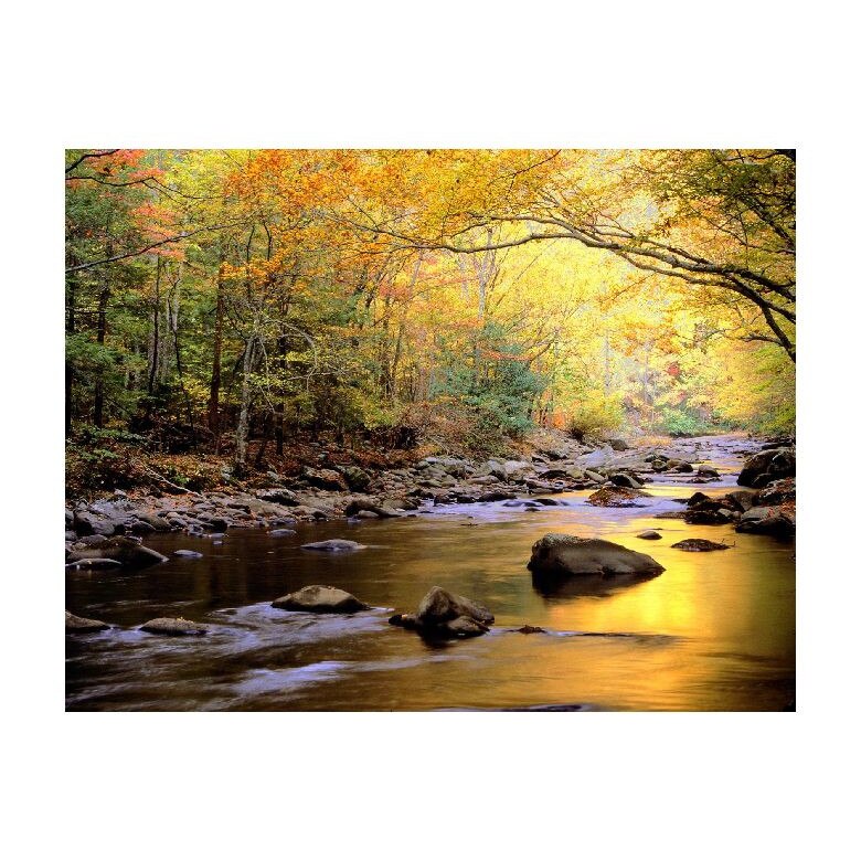 Tablou Canvas Natura, Dimensiunea 100x70 nat1029