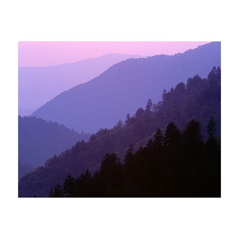 Tablou Canvas Natura, Dimensiunea 100x70 nat928
