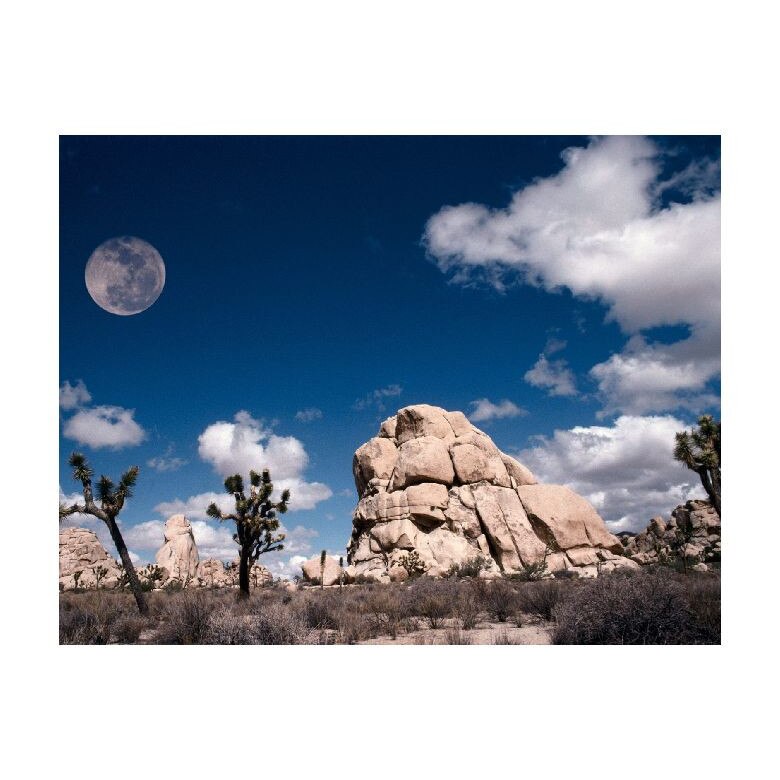 Tablou Canvas Natura, Dimensiunea 100x70 nat1004