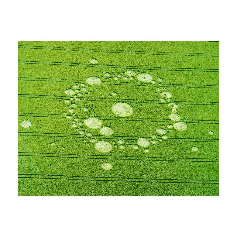 Tablou Canvas Natura, Dimensiunea 100x70 nat1009