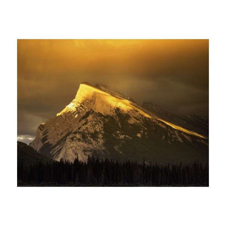 Tablou Canvas Natura, Dimensiunea 100x70 nat1027