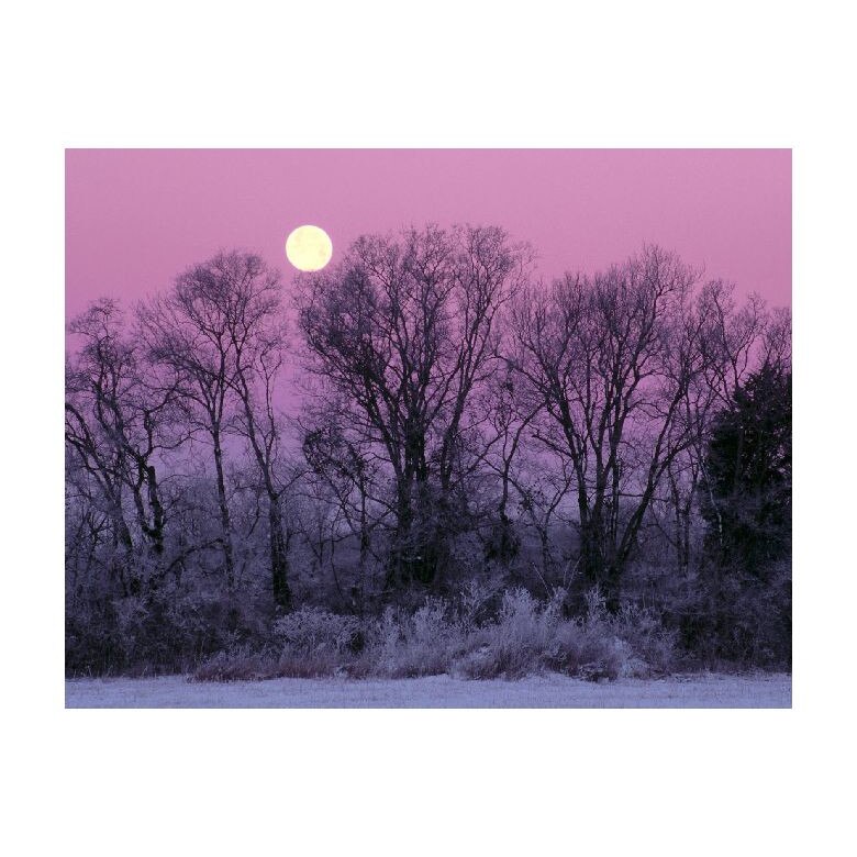 Tablou Canvas Natura, Dimensiunea 100x70 nat1005