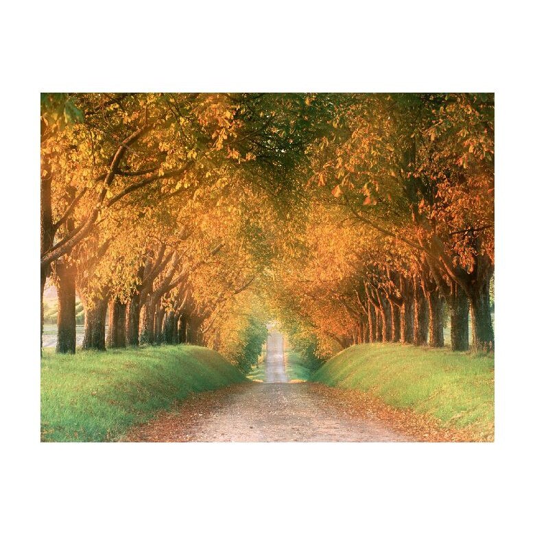 Tablou Canvas Natura, Dimensiunea 100x70 nat736