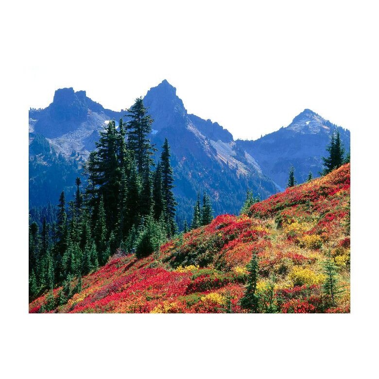 Tablou Canvas Natura, Dimensiunea 100x70 nat969