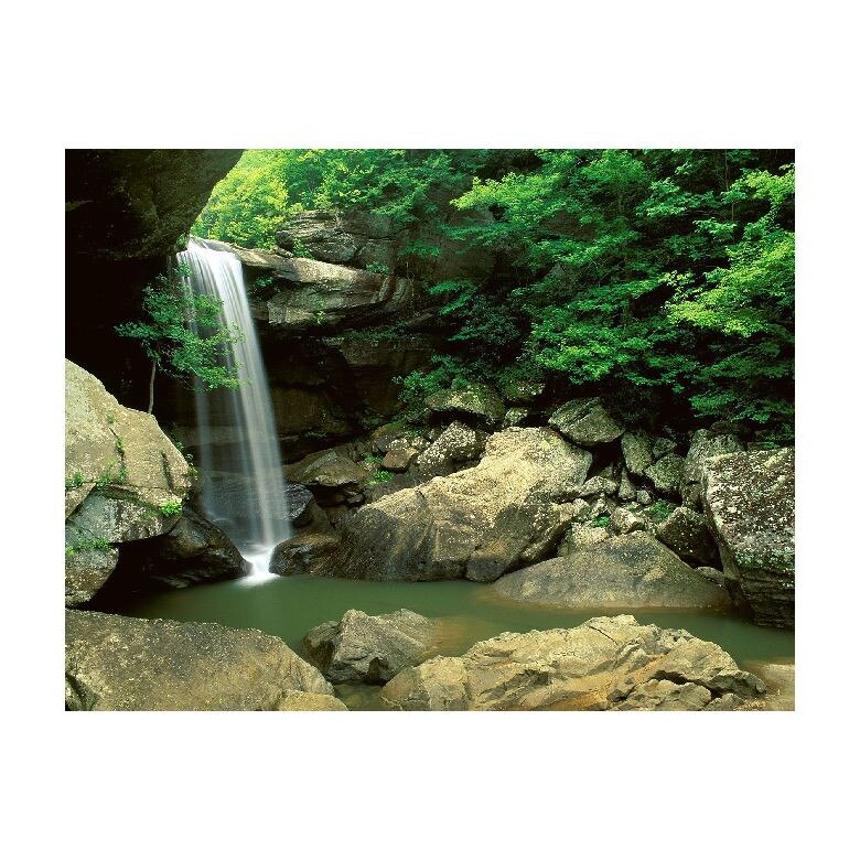 Tablou Canvas Natura, Dimensiunea 100x70 nat932