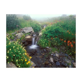 Tablou Canvas Natura, Dimensiunea 100x70 nat981 Tablou Canvas Natura, Dimensiunea 100x70 nat981