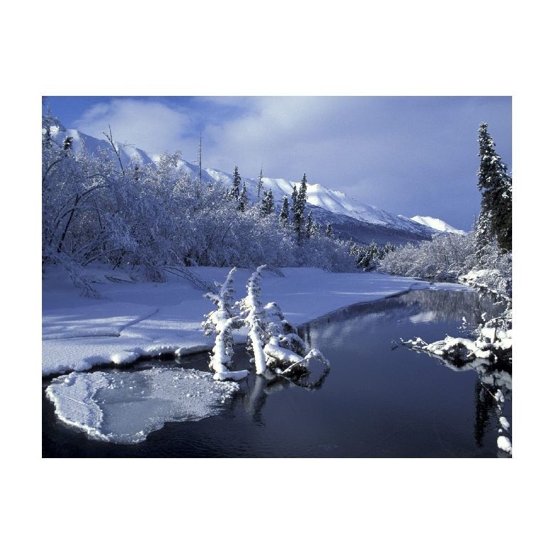 Tablou Canvas Natura, Dimensiunea 100x70 nat933
