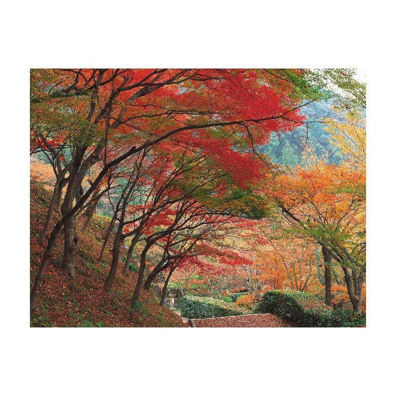 Tablou Canvas Natura, Dimensiunea 100x70 nat920