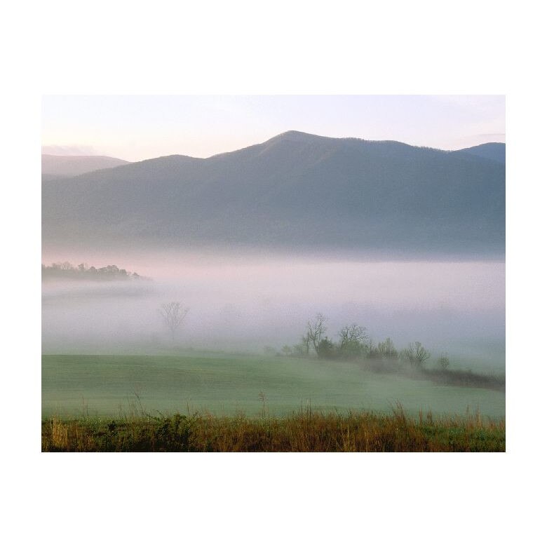 Tablou Canvas Natura, Dimensiunea 100x70 nat987