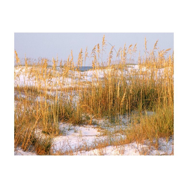 Tablou Canvas Natura, Dimensiunea 100x70 nat925