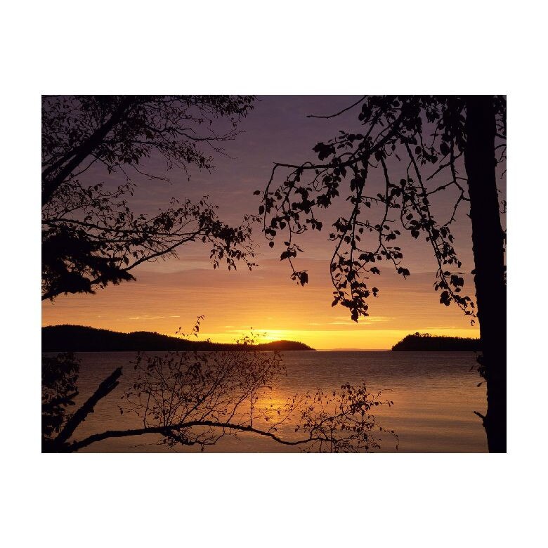 Tablou Canvas Natura, Dimensiunea 100x70 nat1034