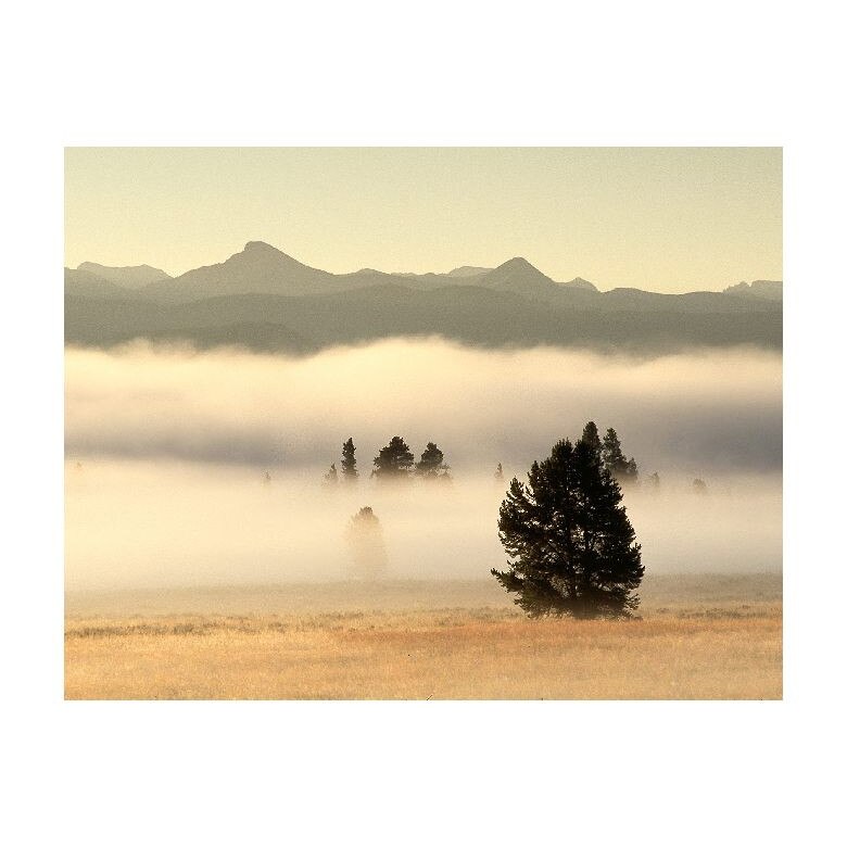 Tablou Canvas Natura, Dimensiunea 50x30 nat984