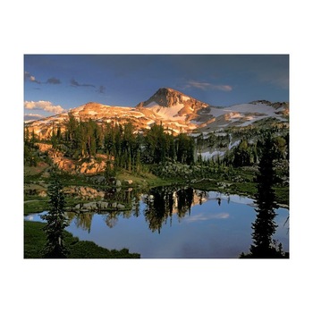 Tablou Canvas Natura, Dimensiunea 100x70 nat931 Tablou Canvas Natura, Dimensiunea 100x70 nat931