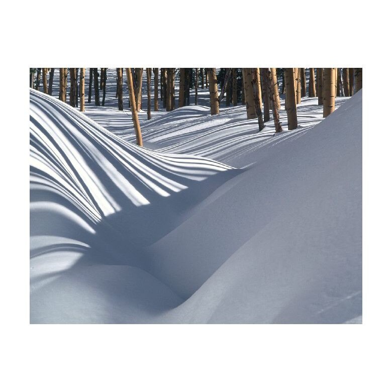 Tablou Canvas Natura, Dimensiunea 100x70 nat1028