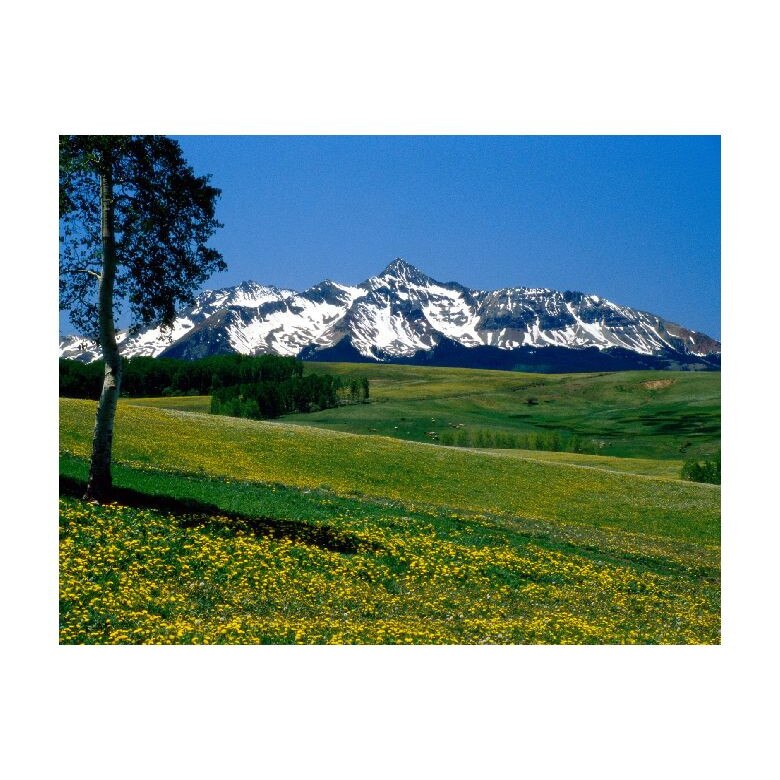 Tablou Canvas Natura, Dimensiunea 100x70 nat1002