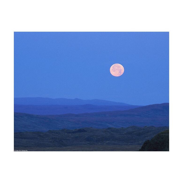 Tablou Canvas Natura, Dimensiunea 100x70 nat1003