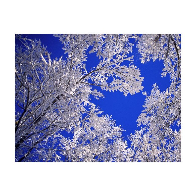 Tablou Canvas Natura, Dimensiunea 100x70 nat998