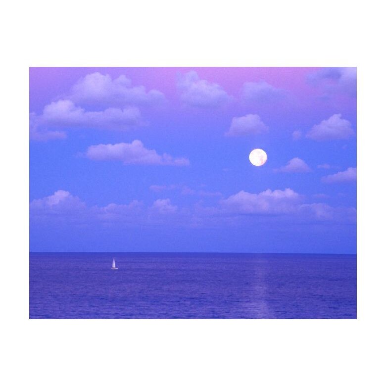 Tablou Canvas Natura, Dimensiunea 100x70 nat951