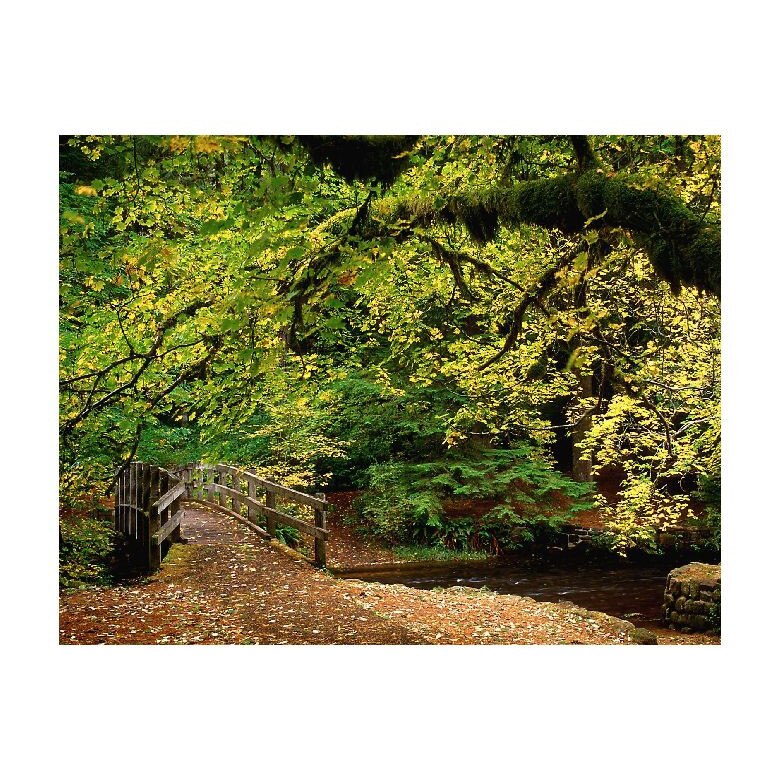 Tablou Canvas Natura, Dimensiunea 100x70 nat1022