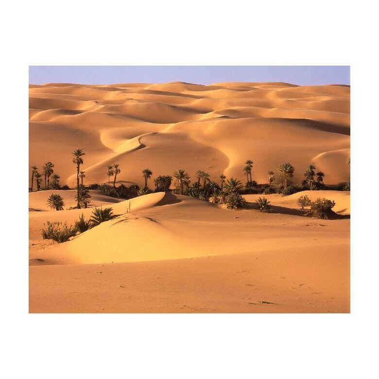 Tablou Canvas Natura, Dimensiunea 100x70 nat907