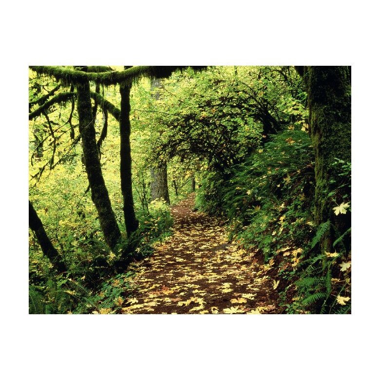 Tablou Canvas Natura, Dimensiunea 100x70 nat1193