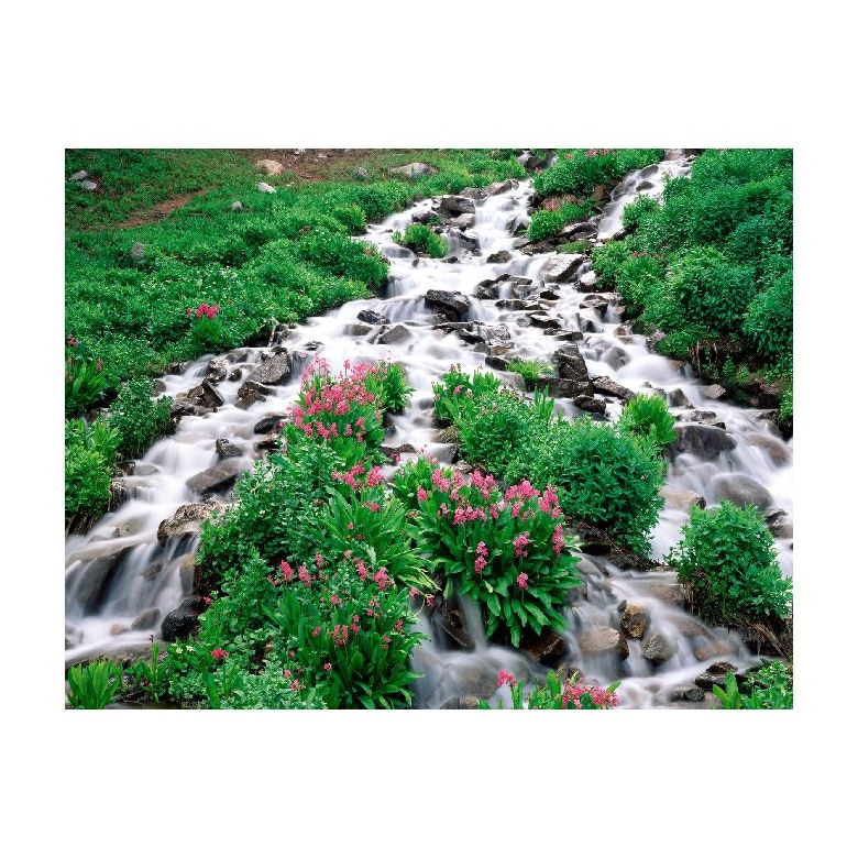 Tablou Canvas Natura, Dimensiunea 100x70 nat1104